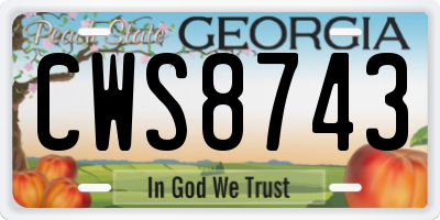 GA license plate CWS8743