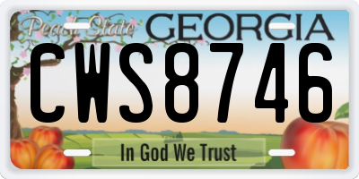 GA license plate CWS8746