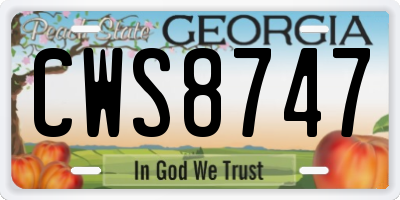 GA license plate CWS8747