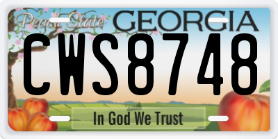 GA license plate CWS8748