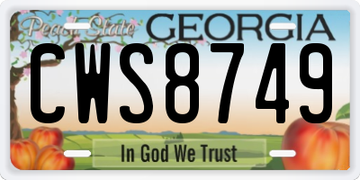 GA license plate CWS8749