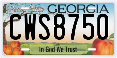GA license plate CWS8750