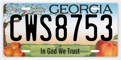 GA license plate CWS8753