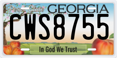 GA license plate CWS8755