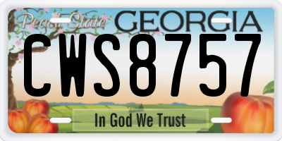 GA license plate CWS8757