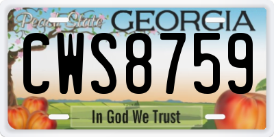 GA license plate CWS8759