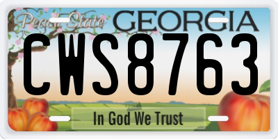 GA license plate CWS8763