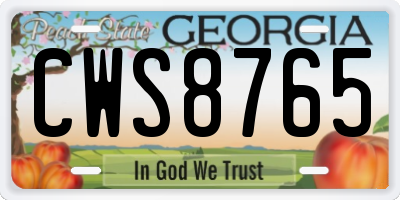 GA license plate CWS8765