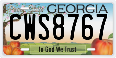 GA license plate CWS8767