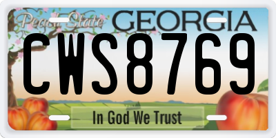 GA license plate CWS8769