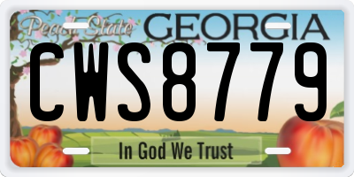 GA license plate CWS8779