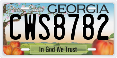 GA license plate CWS8782
