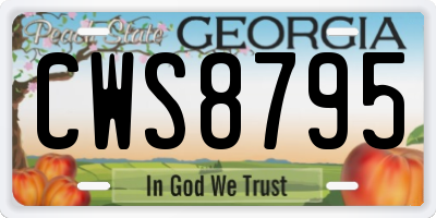 GA license plate CWS8795