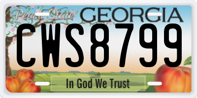 GA license plate CWS8799