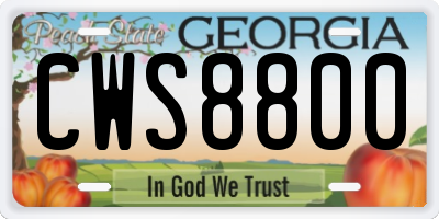 GA license plate CWS8800