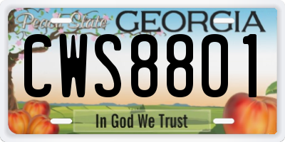GA license plate CWS8801