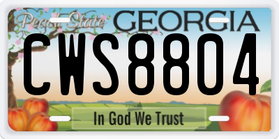 GA license plate CWS8804