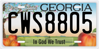 GA license plate CWS8805