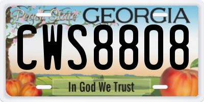GA license plate CWS8808