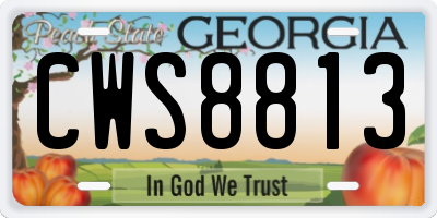 GA license plate CWS8813