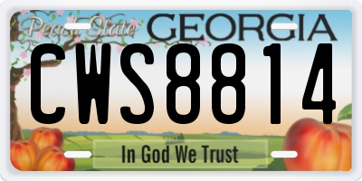 GA license plate CWS8814