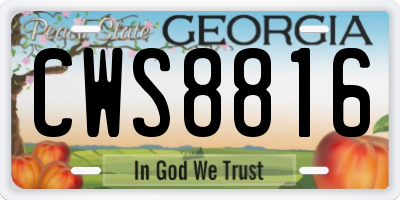 GA license plate CWS8816