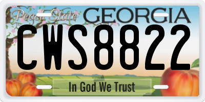 GA license plate CWS8822