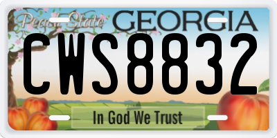 GA license plate CWS8832
