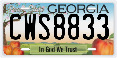 GA license plate CWS8833