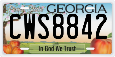 GA license plate CWS8842