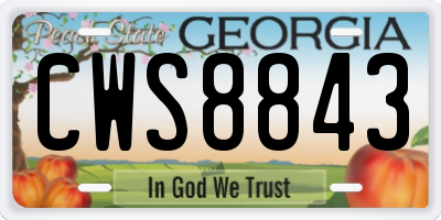 GA license plate CWS8843