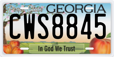 GA license plate CWS8845