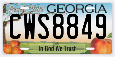 GA license plate CWS8849