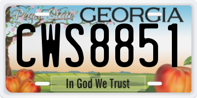 GA license plate CWS8851