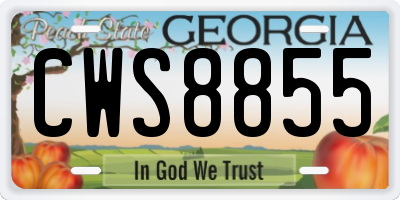 GA license plate CWS8855