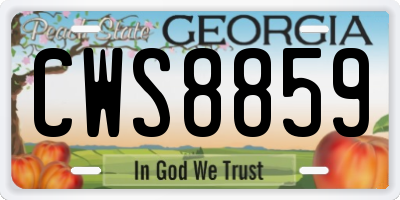 GA license plate CWS8859