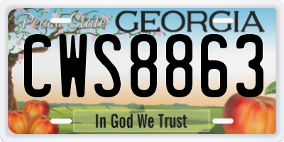 GA license plate CWS8863