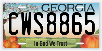 GA license plate CWS8865