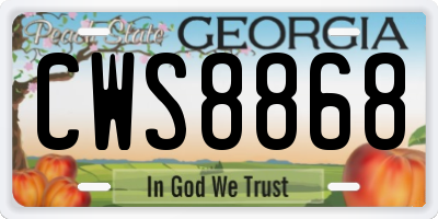 GA license plate CWS8868