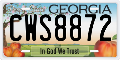 GA license plate CWS8872