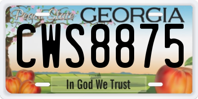 GA license plate CWS8875