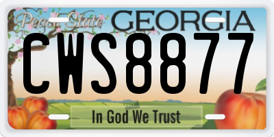 GA license plate CWS8877