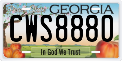 GA license plate CWS8880