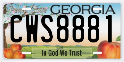 GA license plate CWS8881