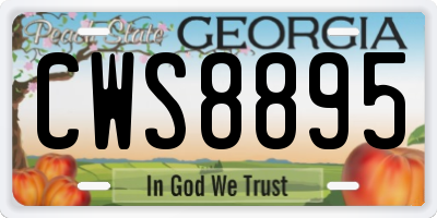GA license plate CWS8895