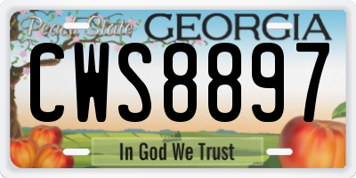 GA license plate CWS8897