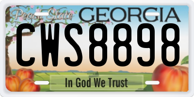 GA license plate CWS8898