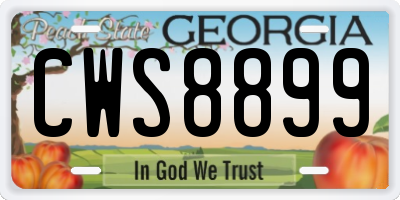 GA license plate CWS8899