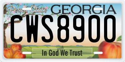 GA license plate CWS8900