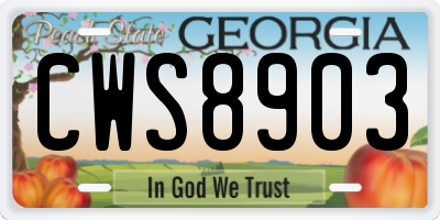 GA license plate CWS8903